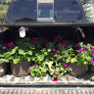 Meet your Posher, Cadence